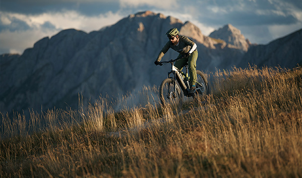 e-bike pointner